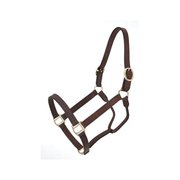 Royal King Leather Track Halter Large Horse