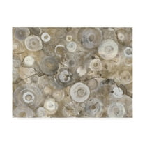 Trademark Fine Art 'Neutral Agate' Canvas Art by Albena Hristova