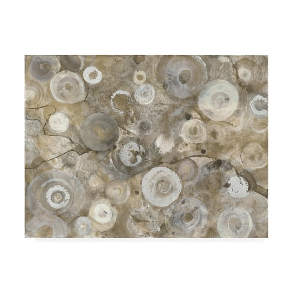 Trademark Fine Art 'Neutral Agate' Canvas Art by Albena Hristova