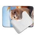 thumbnail image 6 of Yiaed Cute Guinea Pig Sea Print Bathroom Mat Set 2 Pieces Mat Anti-Skid Pad Ultra Soft and Absorbent Bathroom Bath Mat Contour Bath Rugs for Toilet Base, 6 of 6