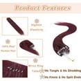 thumbnail image 3 of MY-LADY 100% Human Hair Extensions Remy Real Natural Hair Hairpiece Mirco Ring Tubes Hair Thick Micro Loop Extensions Hair for Women 22inch #99J Wine red, 3 of 8