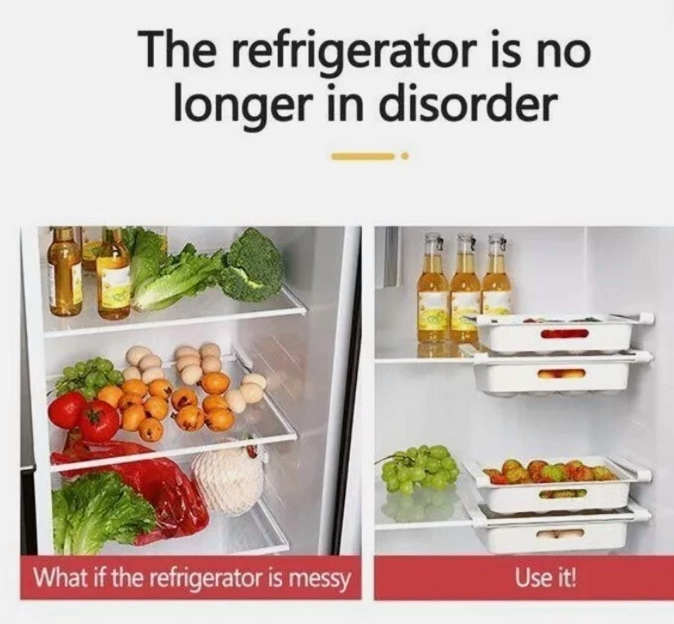 Storage Essentials Large 12 Egg Holder Shelf Refridgerator Organization Fridge