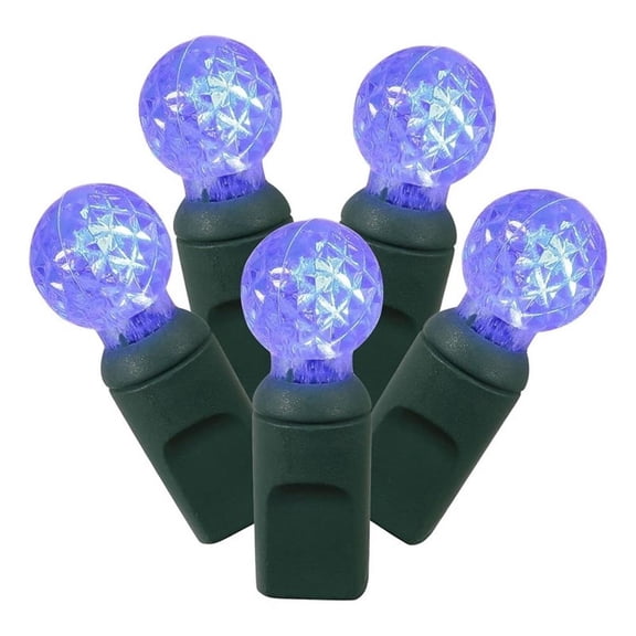 Pemberly Row 25' Color Box G12 Berry LED Christmas Light Set in Blue