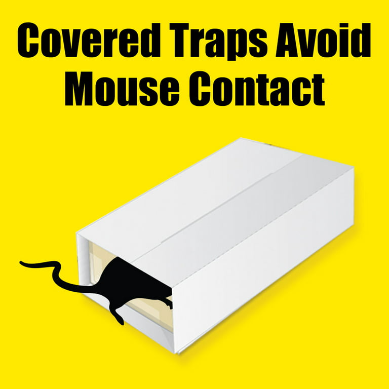 D-CON® Mouse Glue Traps Box, 4 ct - Kroger