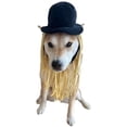 thumbnail image 3 of Sombrero de copa cómodo para perro con peluca de lana para XXS-XXL, 3 of 4