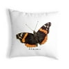 Betsy Drake KS762 12 x 12 in. Red Admiral Butterfly Small No-Cord Pillow
