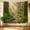 A, variant on XaaKee Tapestry Wall Hanging, Forest Morning Light Wall Tapestry, High-Quality Polyester Room Tapestry For Living Room Bedroom Office, 60x40Inch