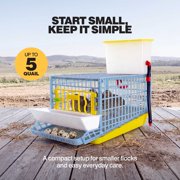 Hatching Time Quail Cage - 1 Section (Power-Washable, Durable, ABS Plastic) | Cimuka