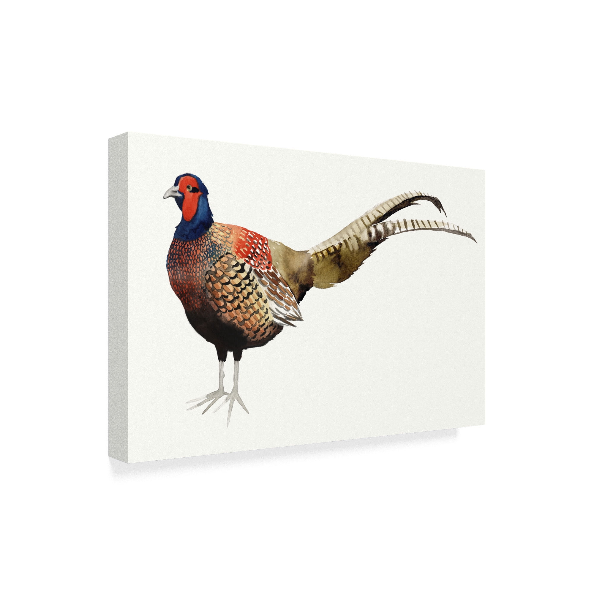 Trademark Fine Art 'Watercolor Pheasant II' Canvas Art by Grace Popp
