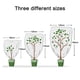 thumbnail image 5 of Cubierta no tejida a prueba de heladas para plantas Cubierta protectora a prueba de frío para plantas de invierno Cubierta protectora resistente al viento y al frío con cremallera Paño protector, 5 of 8