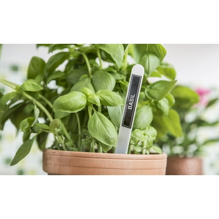 Brother - P-touch CUBE, Smartphone Dedicated Label Maker with Bluetooth Wireless Technology - Blue