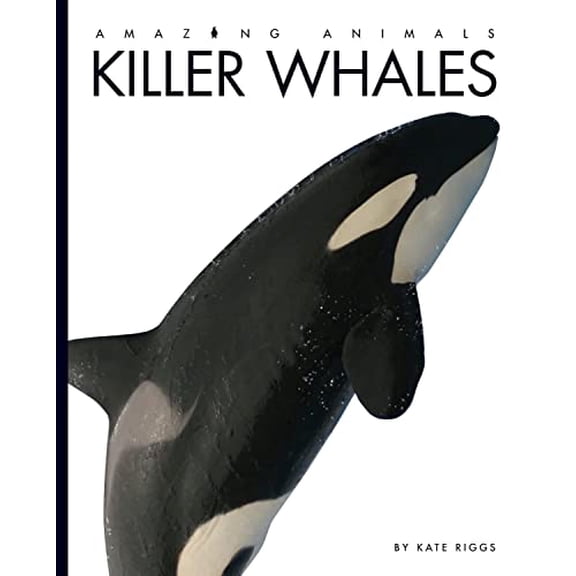 Pre-Owned Killer Whales (Amazing Animals (Creative Education Paperback)) Paperback