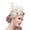 Beige, variant on Fascinator Hats for Women Tea Party Hat Kentucky Fascinators Headband Derby Hats Wedding Carnival