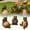 Green1, variant on Pimea Turtle Flower Pot Pendant 3.74x2.36" Garden Decoration Outdoor Figure Garden Decoration