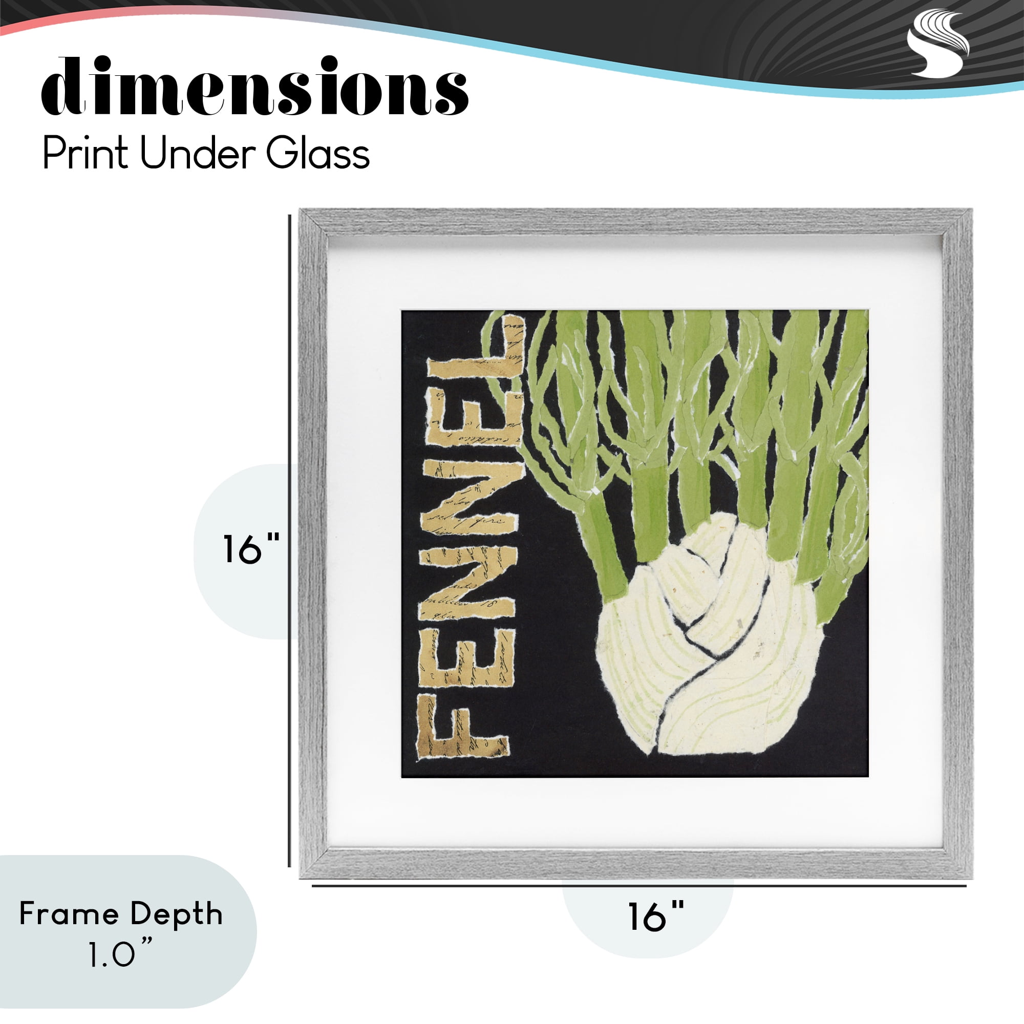 Stupell Industries Fennel Root Vegetable Gray Framed Print Under Glass, design by Nancy Overton