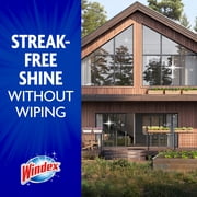 Windex Outdoor Concentrated Cleaner, 32 fl oz