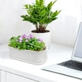 thumbnail image 6 of 5 Set Window Herb Planter Box Rectangular,8.5x3.5 Inch White Plastic Planters with Multiple Drainage Holes and Trays,Indoor Succulent Cactus Mint Flower Pot for Windowsill,Garden Balcony, 6 of 7