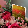 thumbnail image 3 of 3drose, Photograph of a Field Covered in Weeds and Tiny Yellow Flowers., 1 Greeting Card with Envelope, 3 of 6