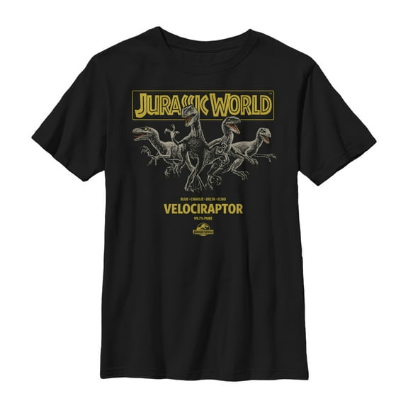 Boy's Jurassic World Velociraptor Pure Graphic Tee Black X Large