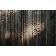thumbnail image 2 of Mossholder, Tim 32x23 Black Ornate Wood Framed with Double Matting Museum Art Print Titled - Fence with Shadows, 2 of 4