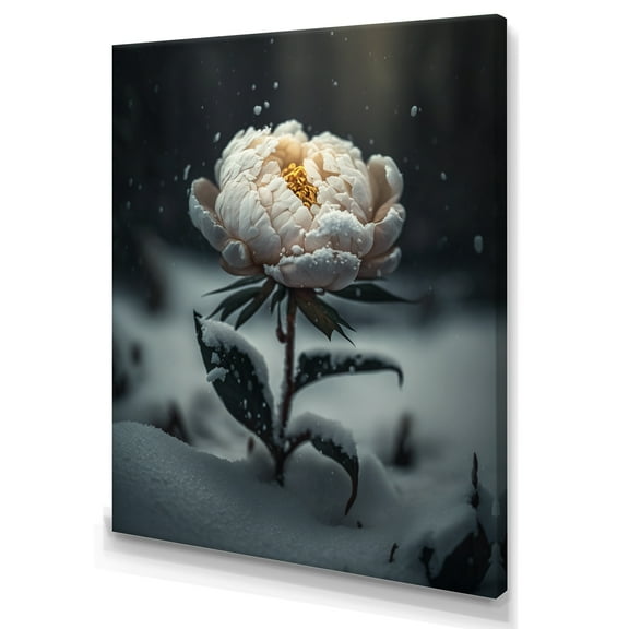 Designart A Blooming White Peony Flower In Winter II Canvas Wall Art