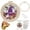 C, variant on Halloween Embroidery Kit for Beginners, Complete Cross Stitch Set with Pre-Printed Fabric, Hoop, Threads and Needles, 4 Spooky Design Styles, 9.06in Handmade Holiday Decor Craft Project