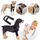 thumbnail image 5 of Protectores de codo y corvejones para patas delanteras de perros, envoltura canina que protege las heridas, cura y brinda soporte para esguinces, 5 of 5