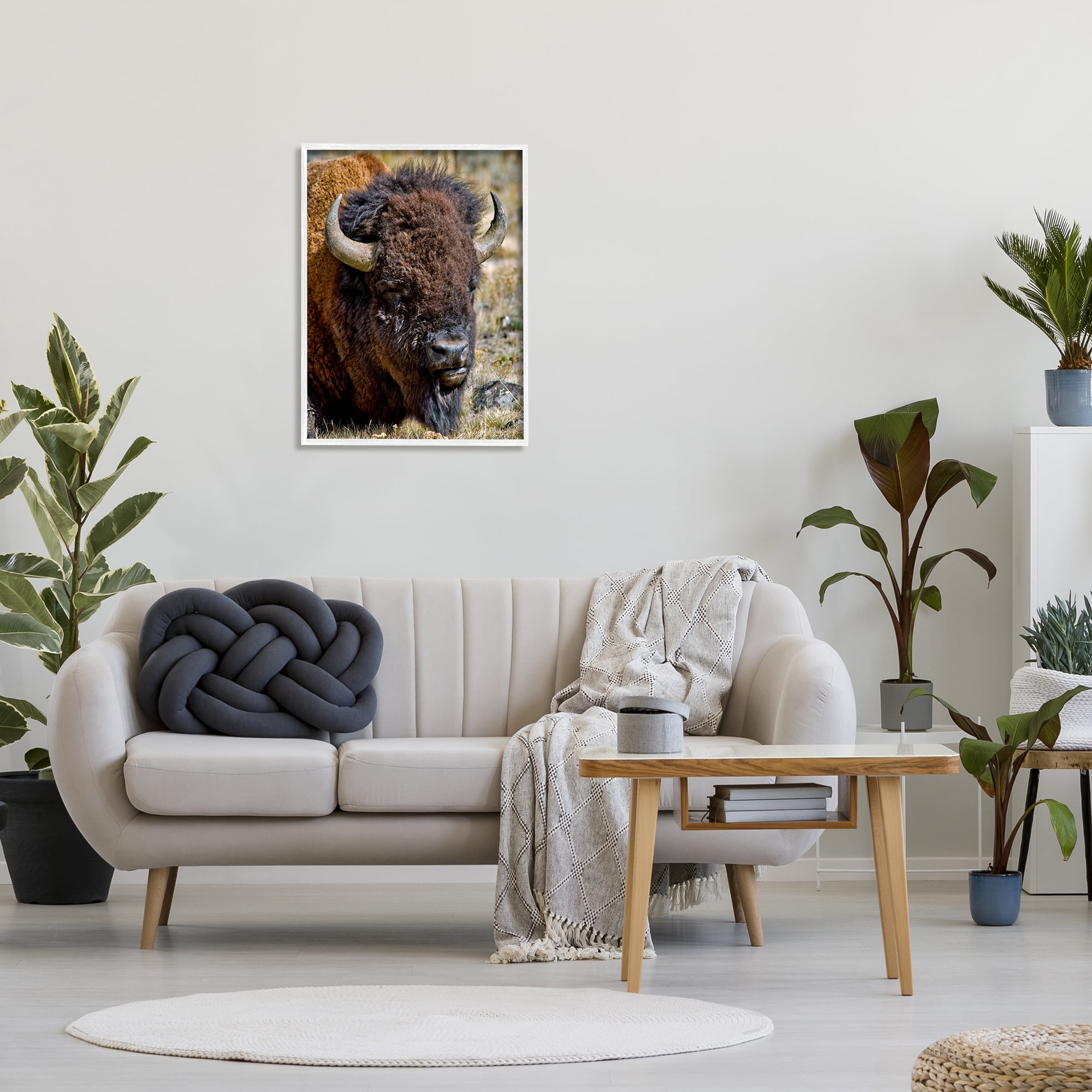 Stupell Industries Bison Resting Photography Animals & Insects Photography White Framed Art Print Wall Art, 24 x 30