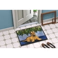 thumbnail image 2 of Carolines Treasures SS8180JMAT Briard Doormat 24x36 36"L x 24"W multicolor, 2 of 4