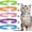 5 Bright Colors, variant on 5 Pack Reflective-Breakaway Cat Collars with Bells,Adjustable Small Cat Collar,Ideal for Girl Cats Male Cats Kittens Puppies,Pet Supplies Stuff Accessories 7.9" - 13" (5 Classic Colors)