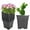 Black, variant on Plant Container Square Nursery Pots Fit for Seeds Germination, Seedlings Growing, Succulents Planting, Seeds Starting, Black