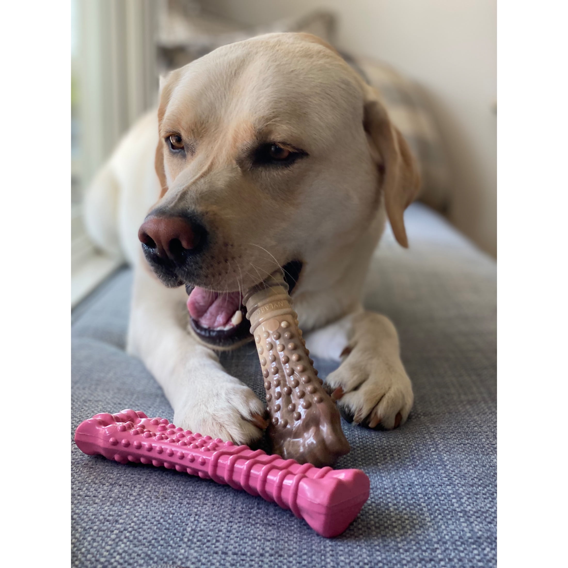Nylabone Power Chew Textured Knuckle Bone Dog Chew Toy Chicken Pink & Camo X-Large (2 Count)