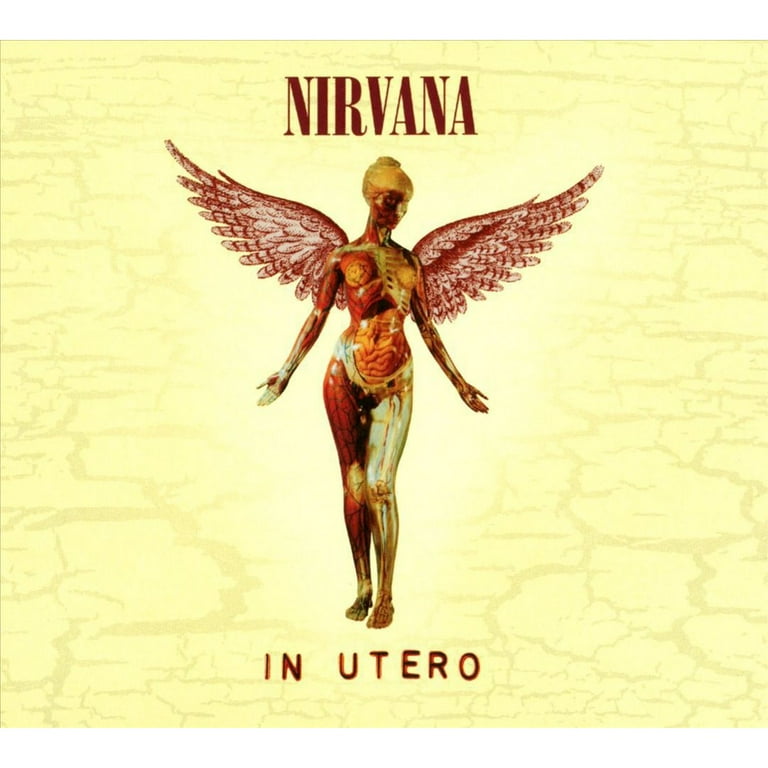 名盤NIRVANA IN UTERO 20周年記念3CD+1DVD国内盤 Nirvana - In Utero (20th Anniversary Edition) - Music