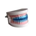 thumbnail image 4 of Mouth Guard At Night For Clenching Teeth Night Guard For Teeth Grinding Moldable Mouth Guard For Grinding Teeth Teeth Protectors From Grinding Day Teeth Grinding Mouth Guard For Sleep Night(BLUE), 4 of 5