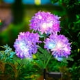thumbnail image 3 of TACILIP Hydrangea Flowers Solar-Powered Lights Hydrangea Solar Light Garden Decor for Outside, Gifts for Him, 3 of 6