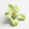 thumbnail image 3 of 40x Picks Cabezas de Flores de Peonía de, 3 of 9
