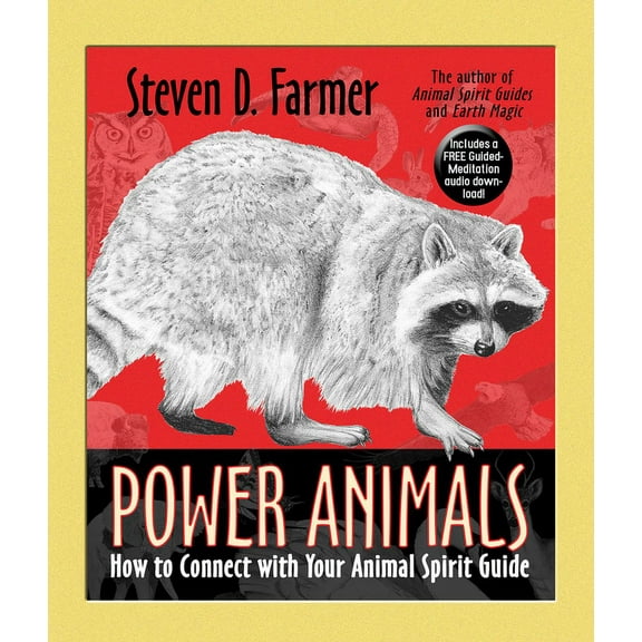 Power Animals: How to Connect with Your Animal Spirit Guide, (Paperback)