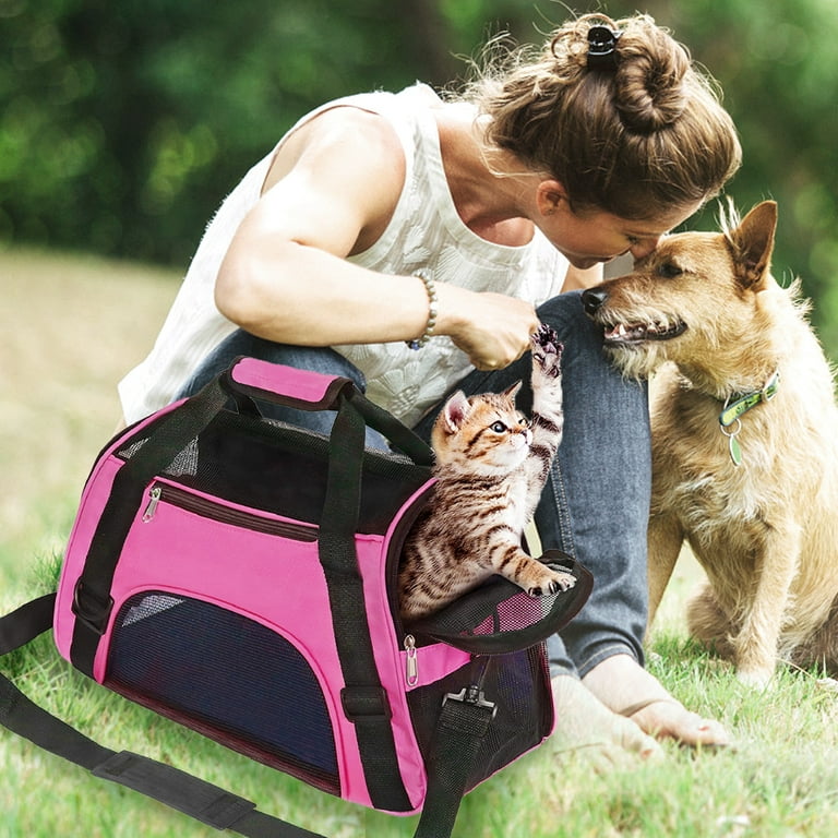 Pet handbags top