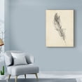 thumbnail image 3 of Trademark Fine Art 'UA CH Feather Sketch IV' Canvas Art by Ethan Harper, 3 of 4