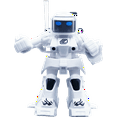 KO Bot 2 Player RC Boxing Robots Fight To Win The Round! Remote