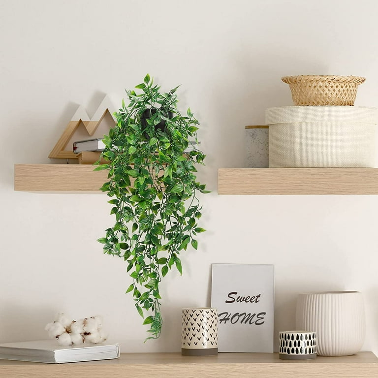 plastic tray for plants 10x10 Growing Trays With or Without Holes main image 0