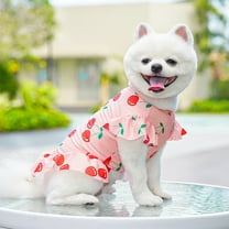 Tvtnvo Ice Silk Pet Floral Dress Breathable Mesh with Whimsical Print for Pets And Dogs Summer Jumpsuit with Functional Leash D Ring Suit Gift for Pet Lovers Suit for Small Breeds Pink