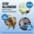 thumbnail image 4 of Clorox PURE Allergen Neutralizer Daily Air Spray, Ocean Mist, 4 of 13