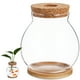 thumbnail image 1 of FELTECHELECTR Pecera para peces Betta, pequeña pecera, mesa de centro, plantas, terrario con cojín de bambú, 1 of 5