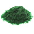 thumbnail image 5 of Miniature Train Grass Accessories Realistic Fake Grass Powder for Craft Projects Easy to Apply Scenery Material Model Landscaping, 5 of 5