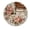 FFclock041, variant on ZXCXRQFa Warm Monkey Silent Wall Clocks for Living Room Kitchen Decor Bathroom Farmhouse Non Ticking Decorative Clock 10-Inch Round Clocks