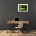 thumbnail image 4 of Alan Hausenflock 18x13 White Modern Wood Framed Wall Art Titled - Water Lilies II, 4 of 5