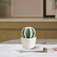 thumbnail image 4 of Mini Artificial Cactus Plants in Pots 1 Pc Potted Faux Succulents in Pots Fake Potted Plants Cactus Decor Small Artificial Plant for Home Decor Indoor Office Desk Tabletop Shelf, 1.97x3.54 Inch, B, 4 of 7