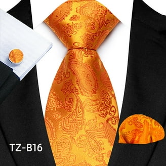 HISDERN Orange Ties for Men Paisley Neckties and Pocket Squares