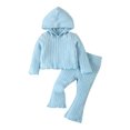 thumbnail image 2 of Hicidod Toddler Sweatsuit 2pcs Set Long Sleeve Hoodie Top Long Sweatpants Suit Solid Color Casual Baby Tracksuit Outfits, 2 of 7